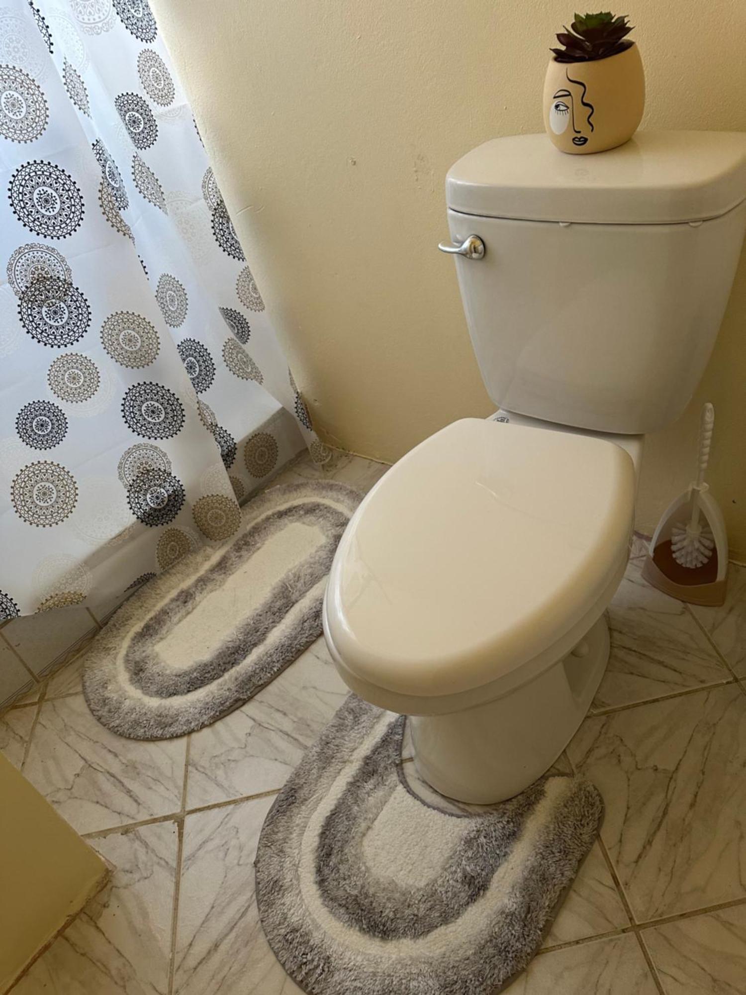 קינגסטאון Castle Berry Apartments מראה חיצוני תמונה